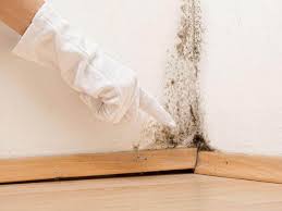 Best Residential Mold Inspection & Testing  in Berwick, LA